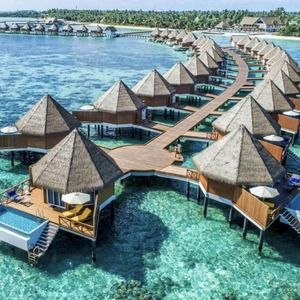 Meet your Posher, Ann